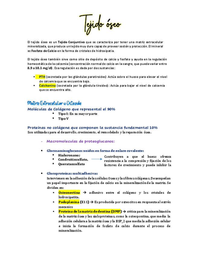 Miniatura del documento Tejido-oseo-PTE.pdf