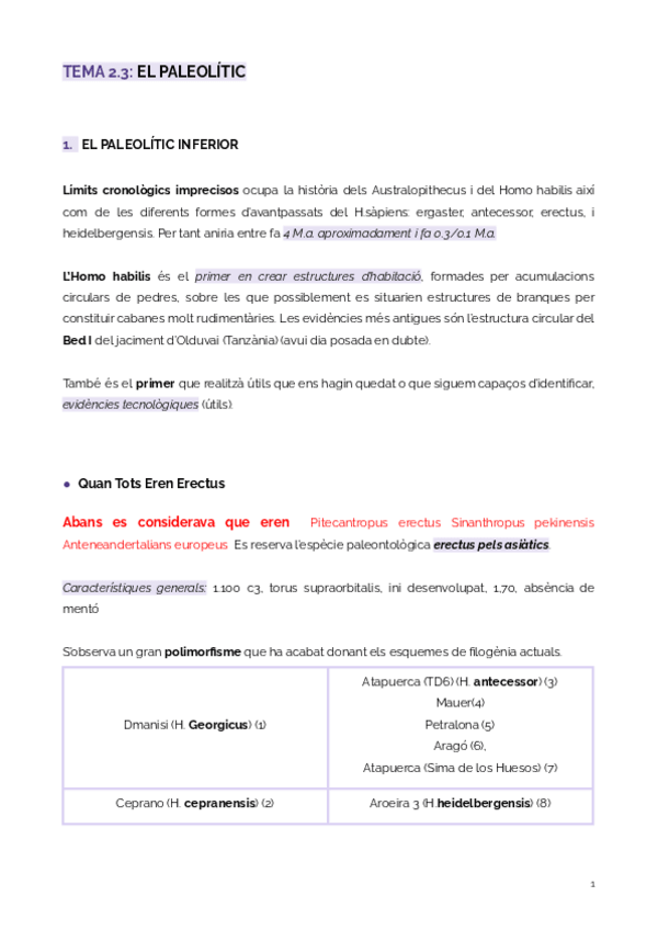 Miniatura del documento TEMA 2.3