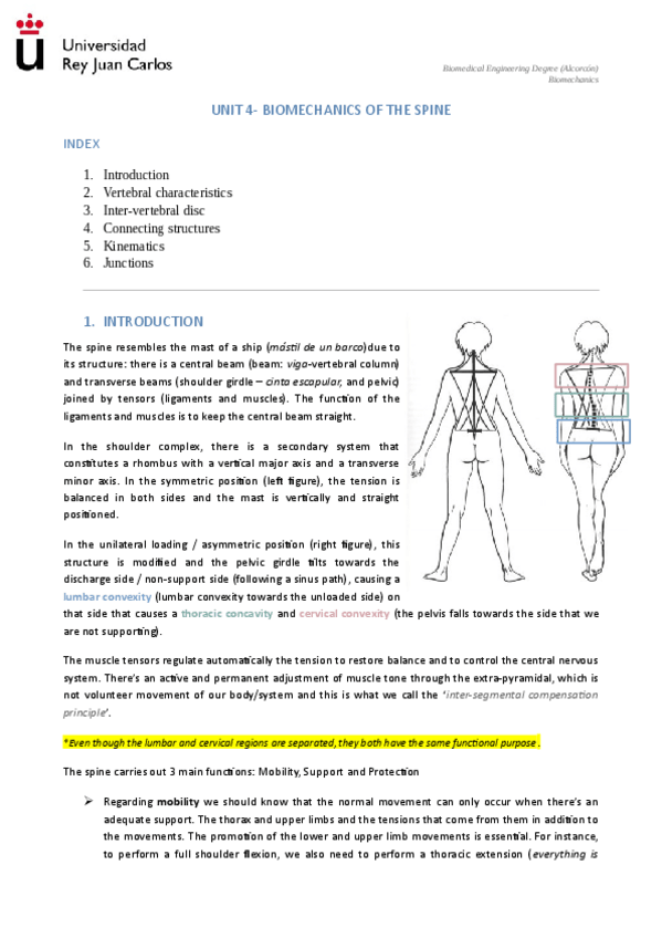 Miniatura del documento 4-BiomechanicsSpine.pdf
