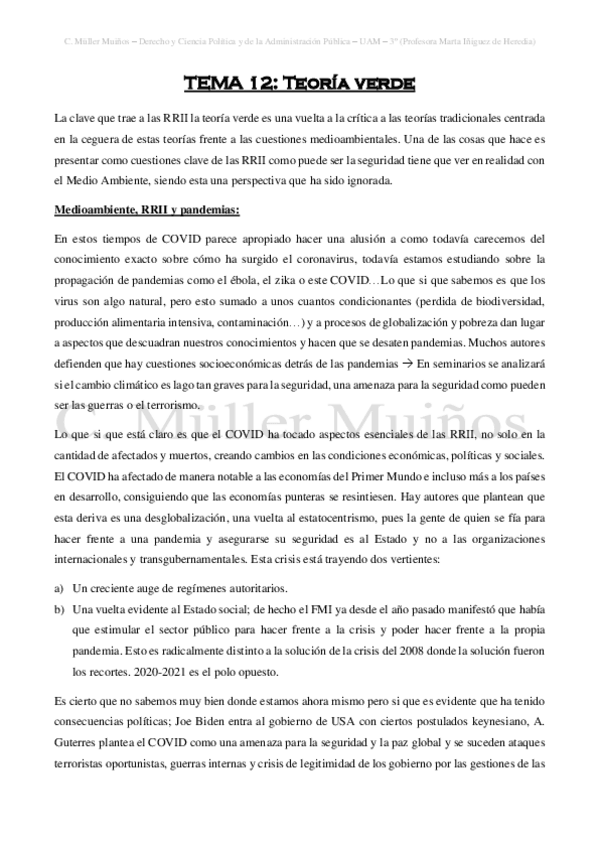 Miniatura del documento TEMA-12-Teoria-Verde.pdf