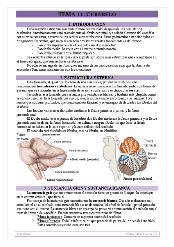 Miniatura del documento TEMA-11.pdf