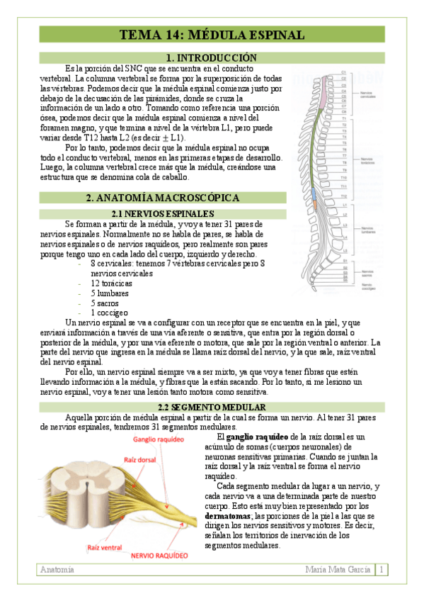 Miniatura del documento TEMA-14.pdf