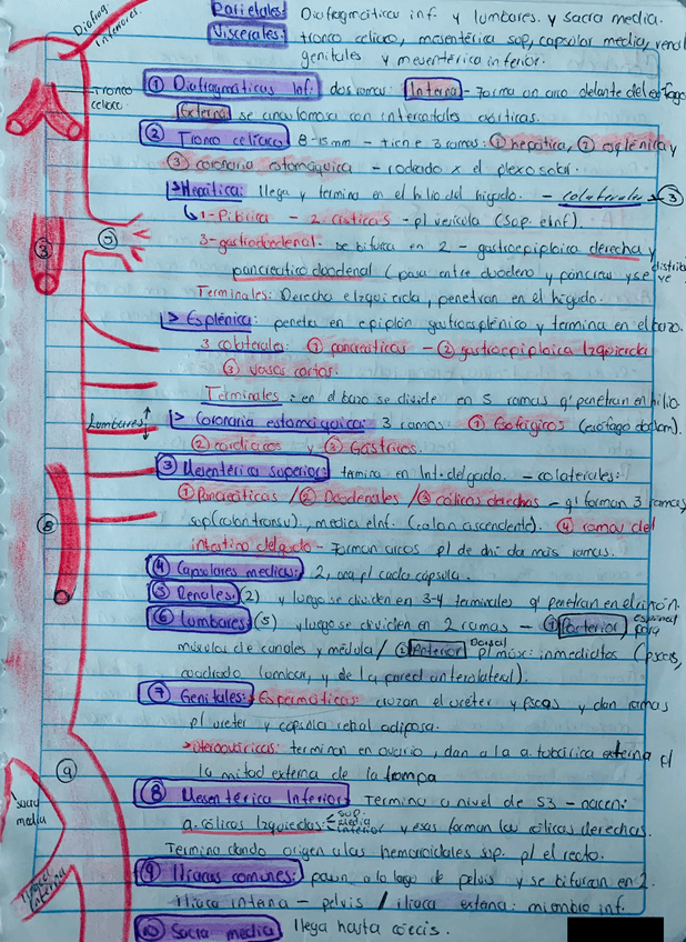 Miniatura del documento IMG1286.jpg
