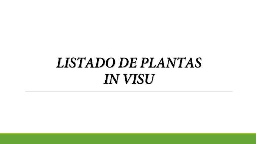 Miniatura del documento PLANTAS-VISU.pdf
