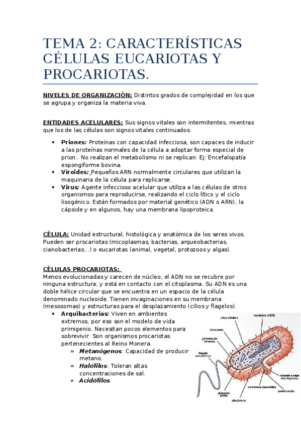 Miniatura del documento TEMA-2.docx