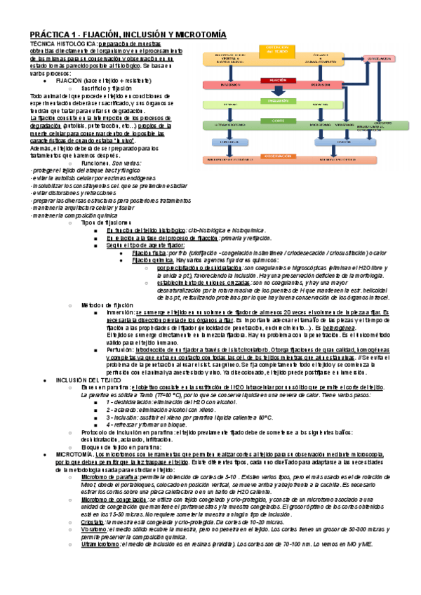 Miniatura del documento RESUMEN-ESTRUCTURA-PRACTICAS.pdf