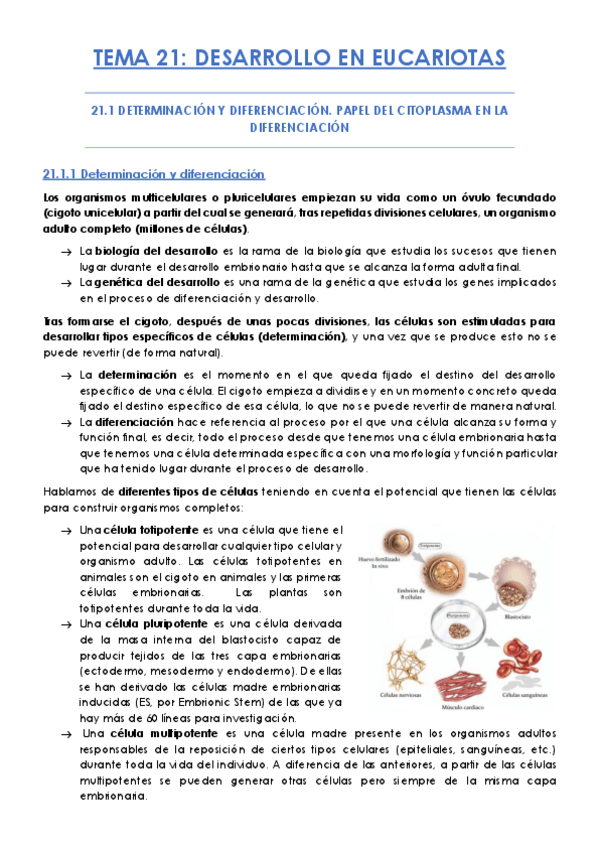 Miniatura del documento TEMA-21.pdf