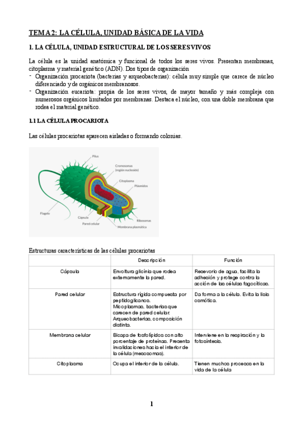 Miniatura del documento La-celula.pdf