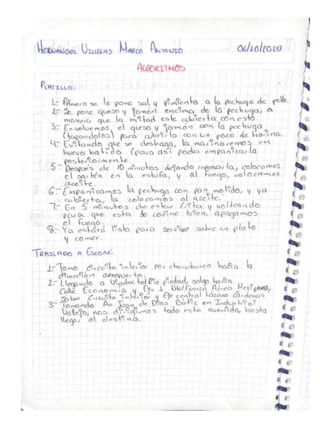 Miniatura del documento algoritmosHVM.pdf