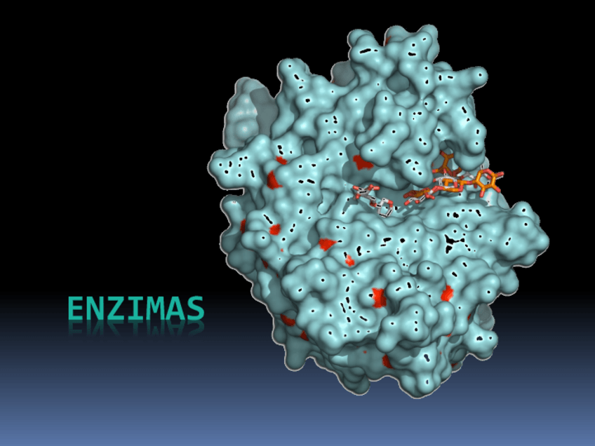 Miniatura del documento 2-ENZIMAS.pdf