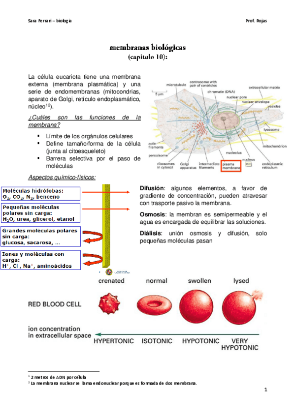 Miniatura del documento biologia.pdf