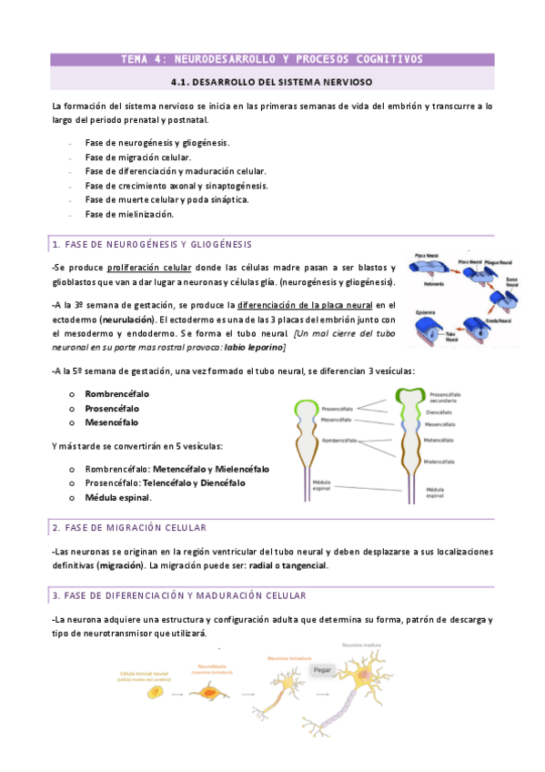 Miniatura del documento TEMA-4-completo.pdf