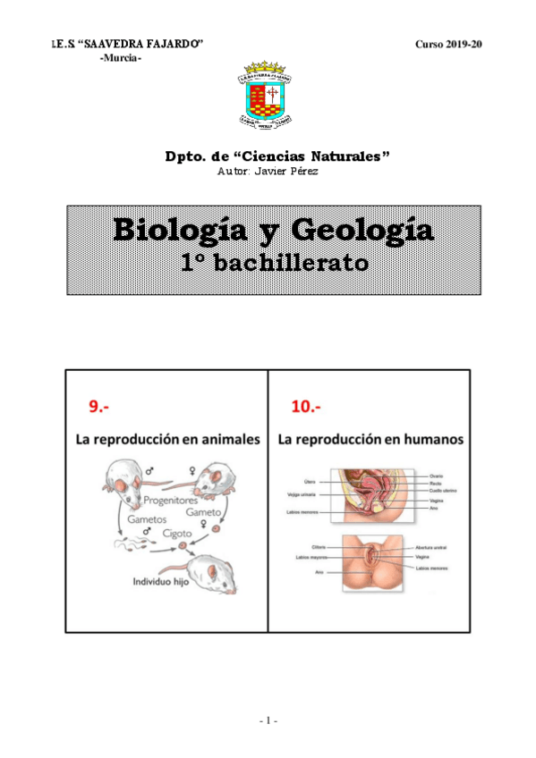 Miniatura del documento TEMAS-9-10-1.pdf