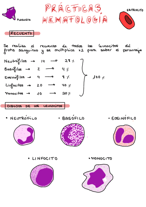 Miniatura del documento Practica.pdf