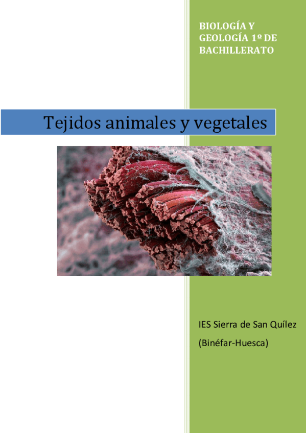 Miniatura del documento TEJIDOS-VEGETALES-Y-ANIMALES.pdf