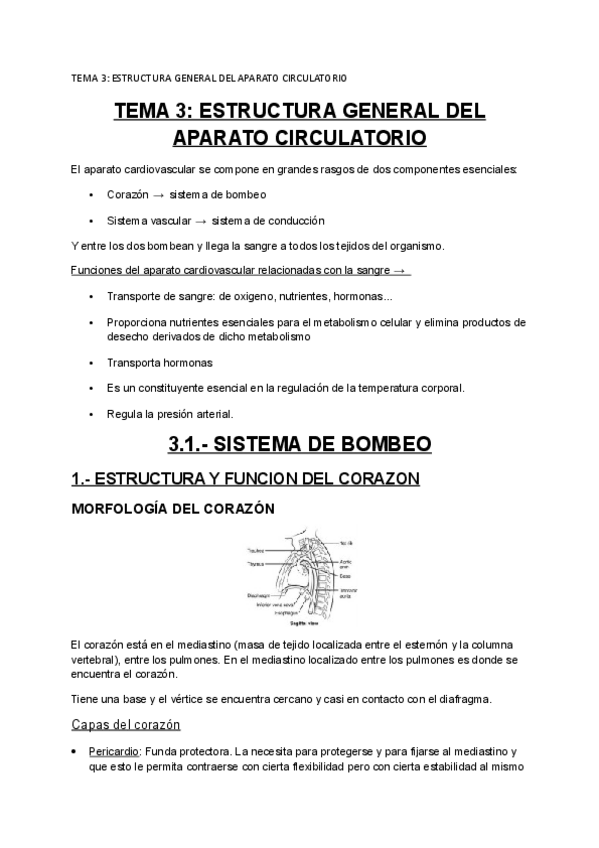 Miniatura del documento tema 3.1.pdf