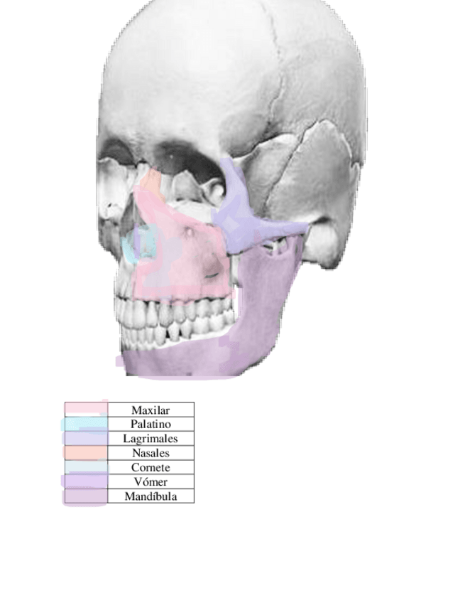 Miniatura del documento Act.pdf