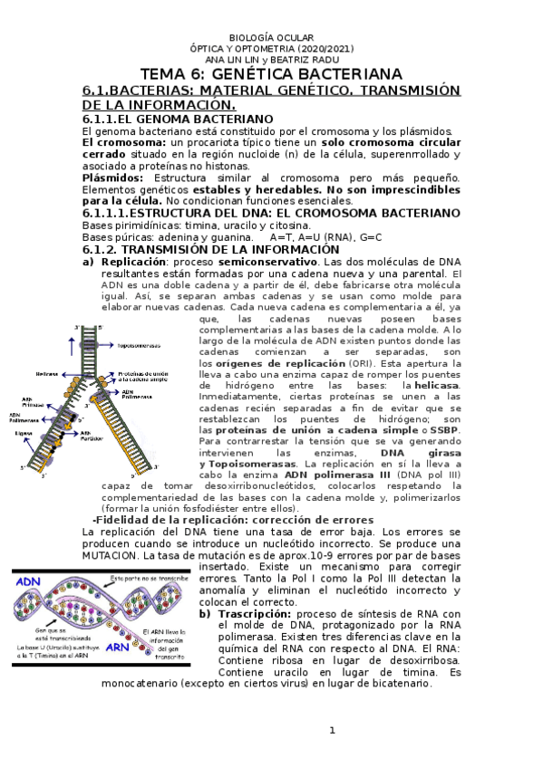 Miniatura del documento t.docx