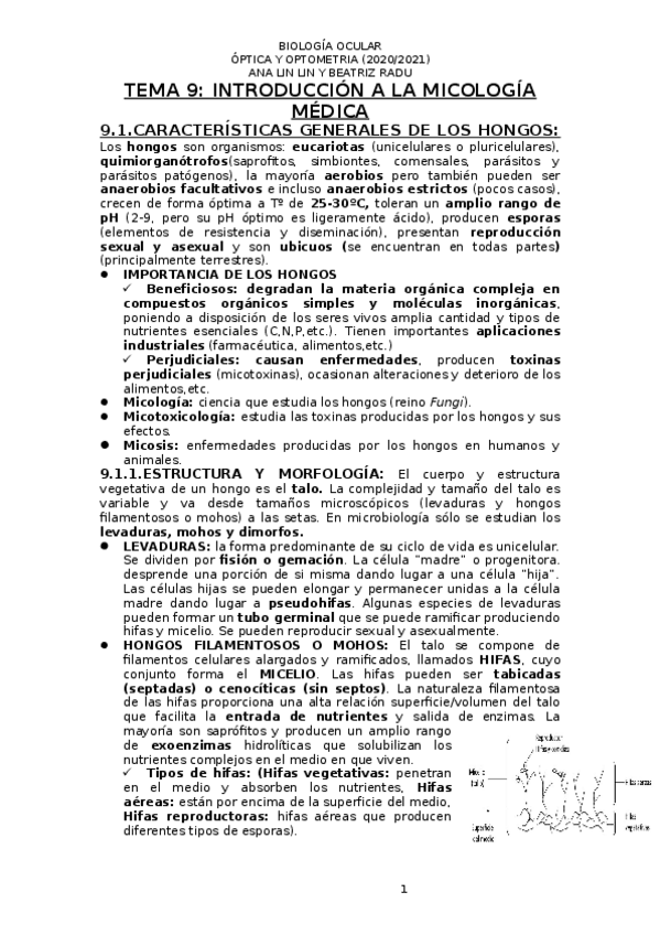 Miniatura del documento t.docx