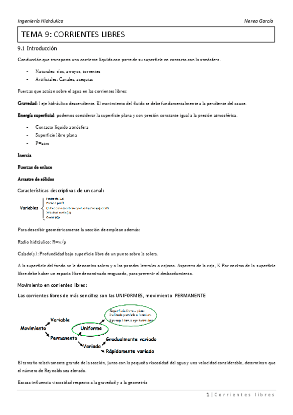 Miniatura del documento TEMA-9-LAS-DOS-PARTES-CORRIENTES-LIBRES.pdf