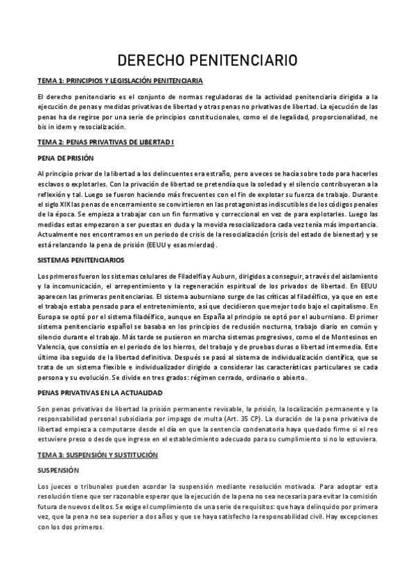 Miniatura del documento PENITENCIARIO.pdf
