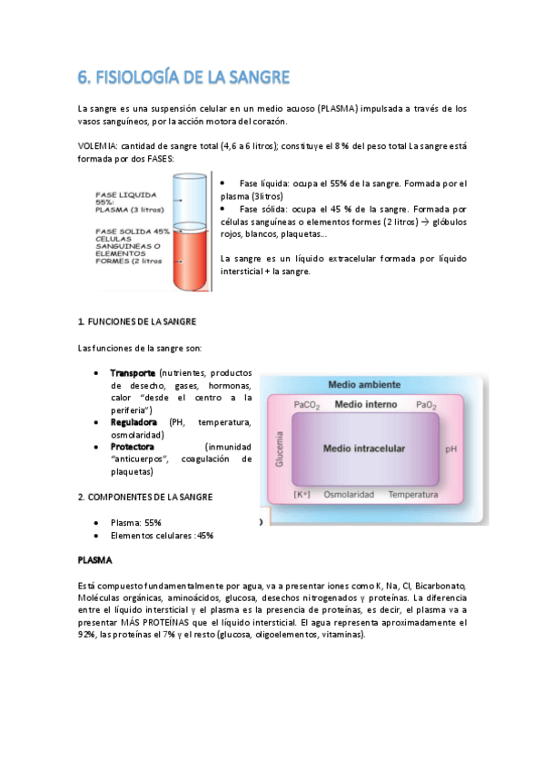 Miniatura del documento 6.pdf