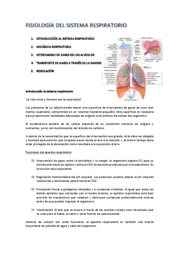 Miniatura del documento 4.pdf