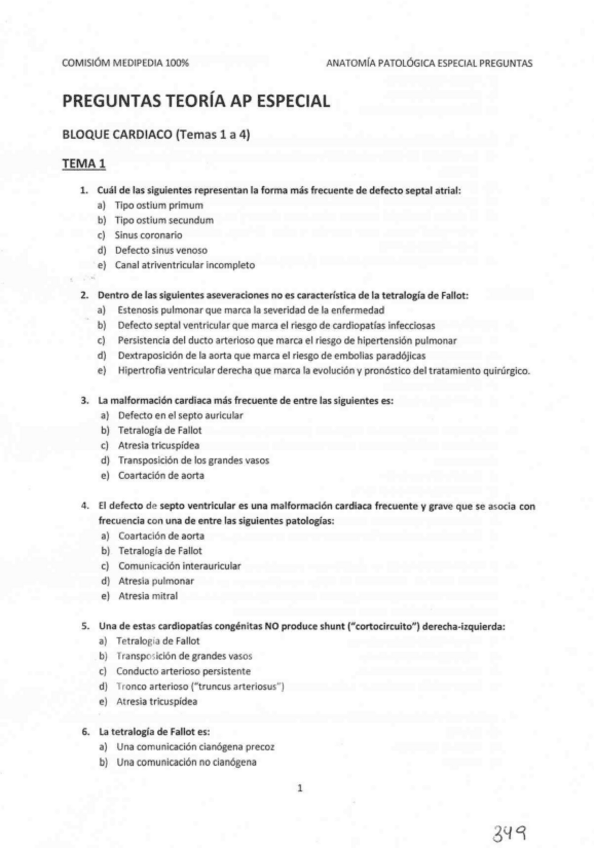 Miniatura del documento Preguntas-por-temas-AP-especial.pdf