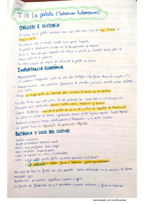 Miniatura del documento CamScanner-05-19-2021-09.pdf