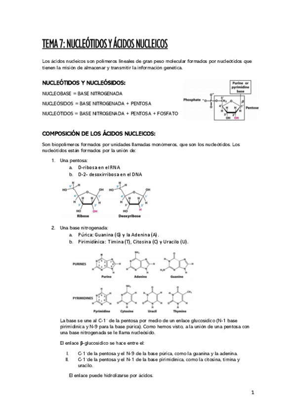 Miniatura del documento Bioqumica-TEMA-7.pdf