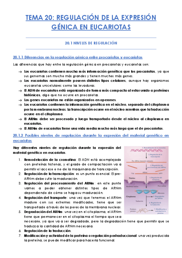 Miniatura del documento TEMA-20.pdf