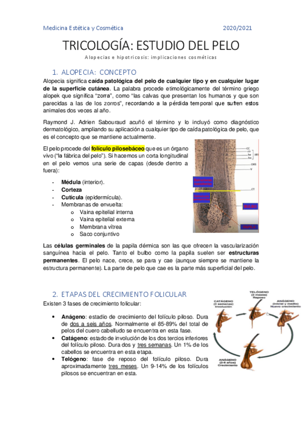 Miniatura del documento Tricologia.pdf