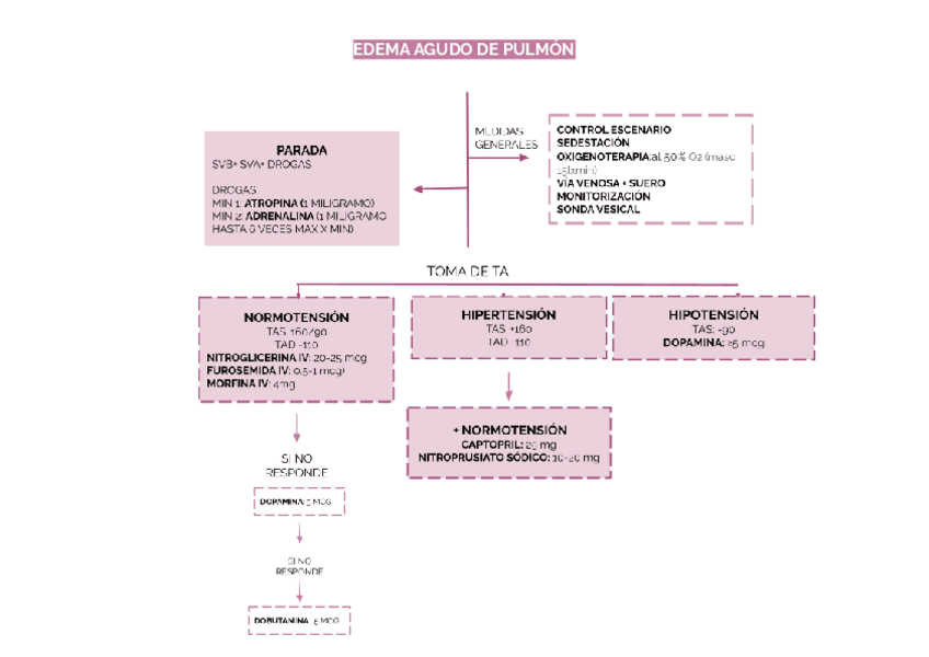 Miniatura del documento EAP.pdf