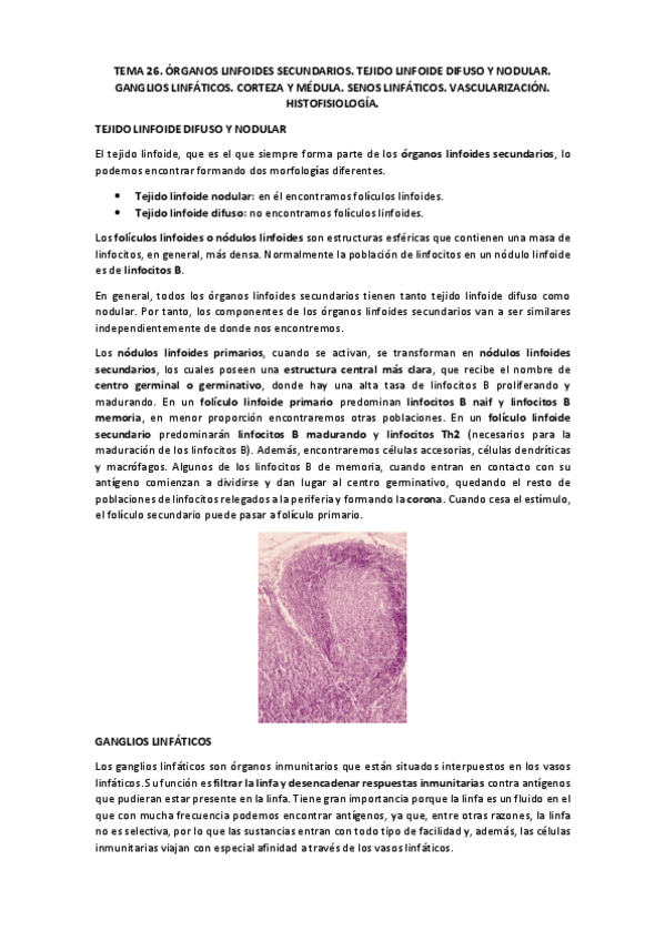 Miniatura del documento TEMA 26 para wuolah.pdf