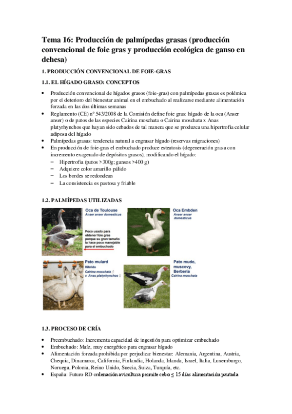 Miniatura del documento Tema-16.pdf