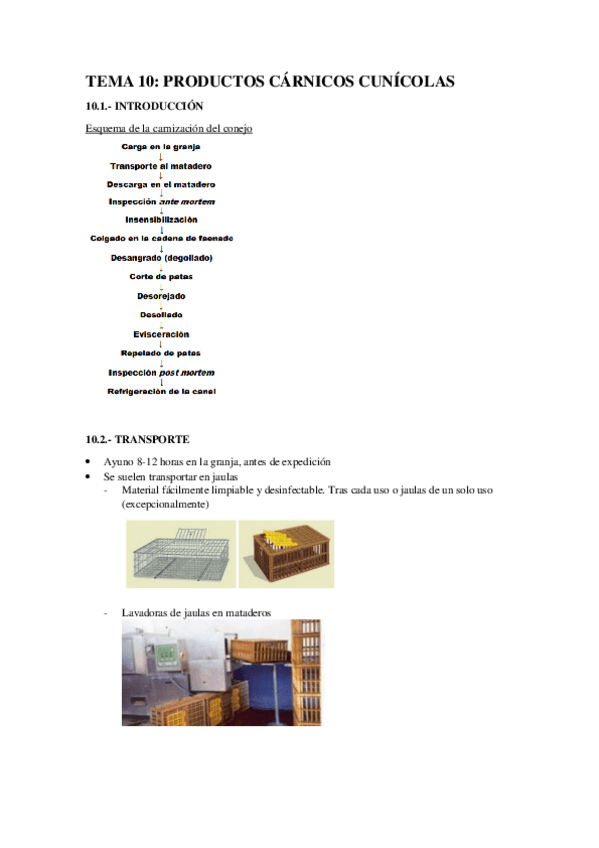 Miniatura del documento TEMA-10.pdf