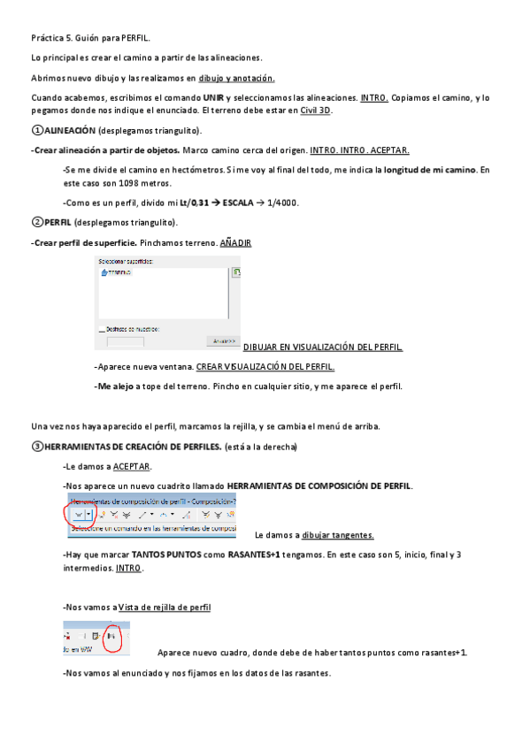 Miniatura del documento GUION-PERFIL.pdf