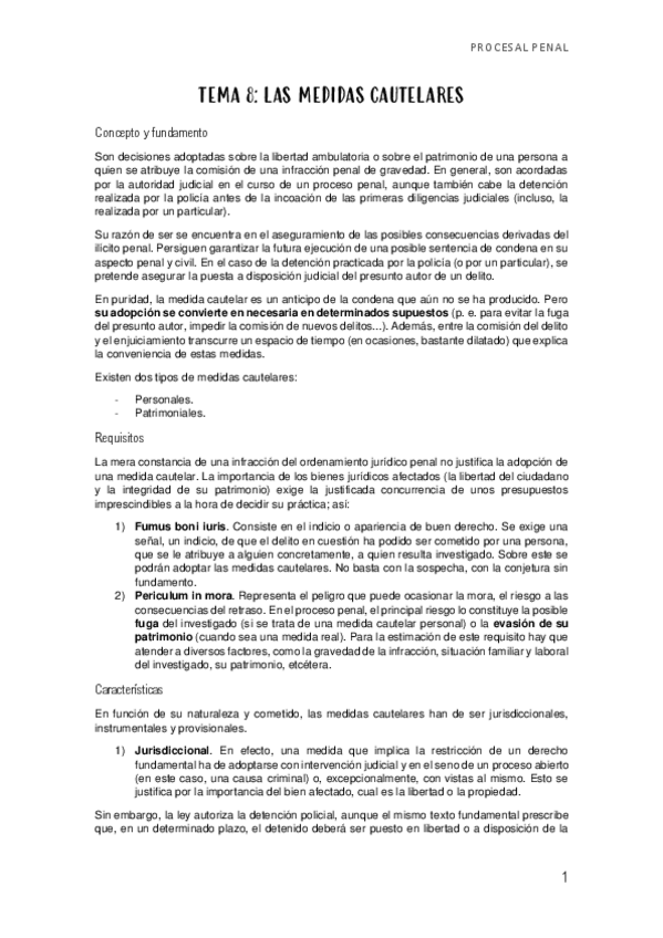 Miniatura del documento TEMA-8-MEDIDAS-CAUTELARES.pdf