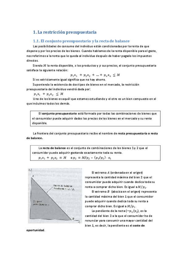 Miniatura del documento Restrinciones presupuestarias.pdf