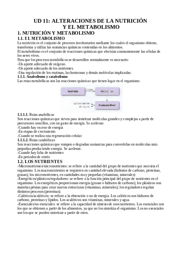 Miniatura del documento TEMA-11-ALTERACIONES-DE-LA-NUTRICION-Y-EL-METABOLISMO.pdf