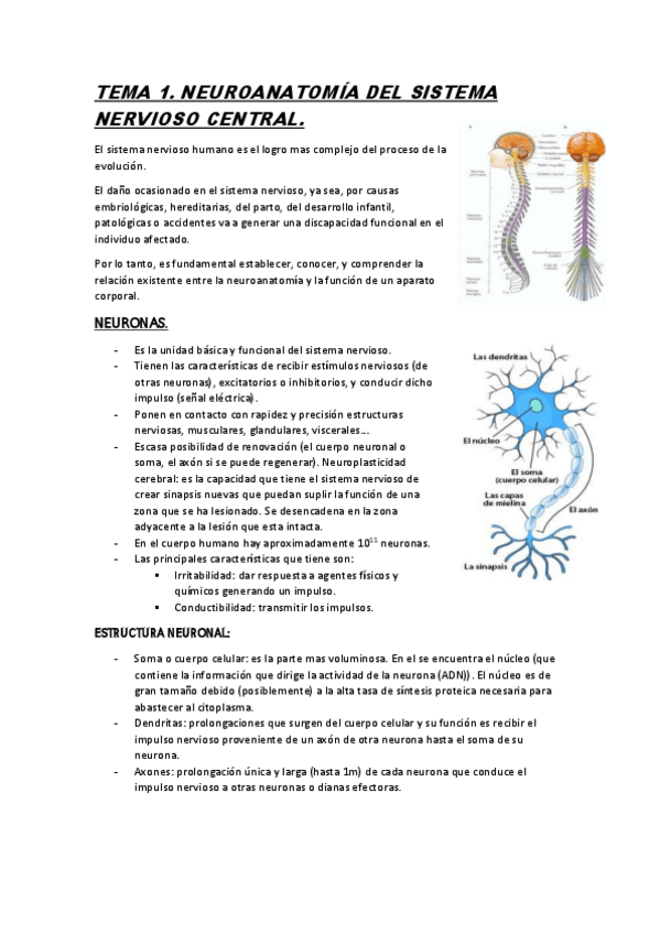 Miniatura del documento TEMA-1.pdf