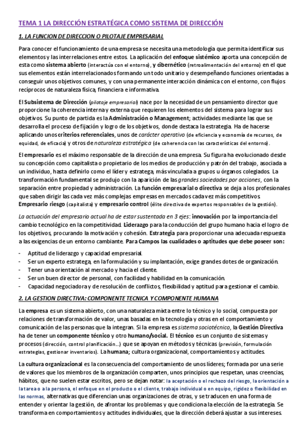 Miniatura del documento RESUMEN-AE.pdf