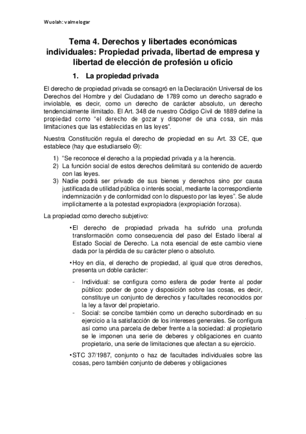 Miniatura del documento LECCION-4.pdf