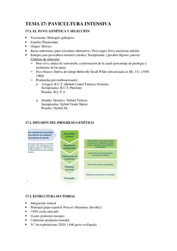 Miniatura del documento TEMA-17.pdf