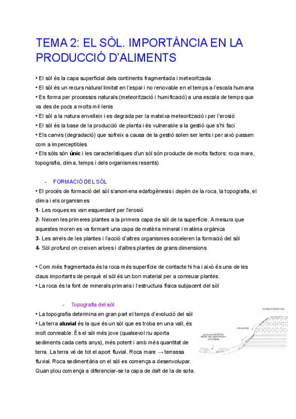 Miniatura del documento TEMA-2.pdf