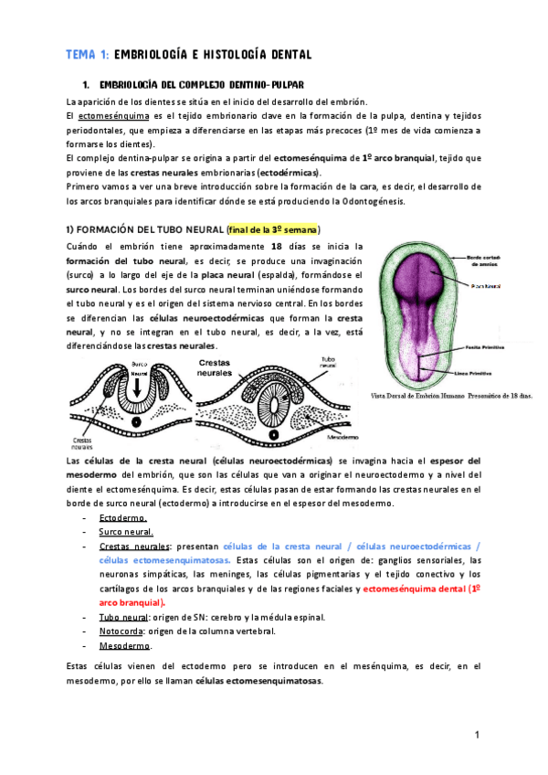 Miniatura del documento TEMA-1.pdf
