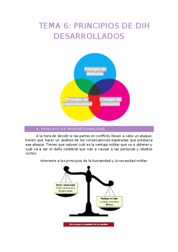 Miniatura del documento Tema-6-Principios-del-DIH-desarrollados.docx