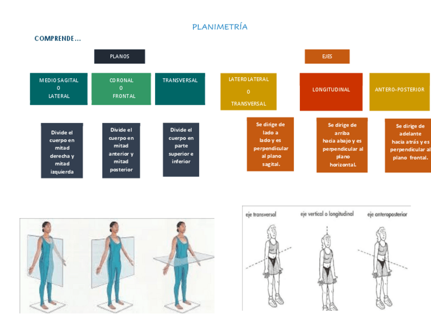 Miniatura del documento Planimetria.pdf