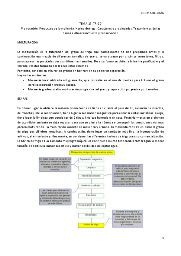 Miniatura del documento TEMA 17.pdf