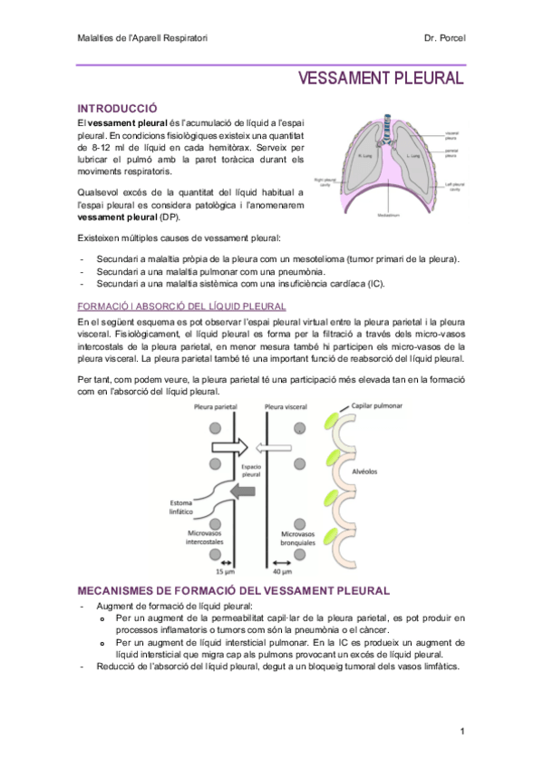 Miniatura del documento 10-VessamentPleural.pdf
